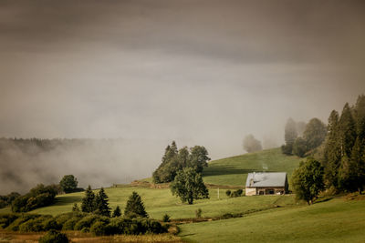 Pastures around lake remoray in the doubs department