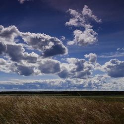 Scenic view of field against cloudy sky