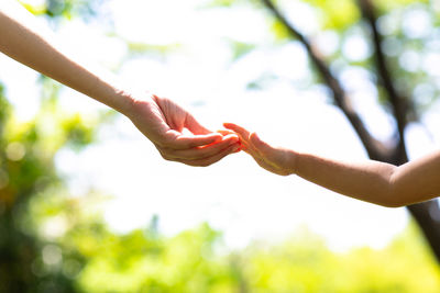 Close-up of hands on tree