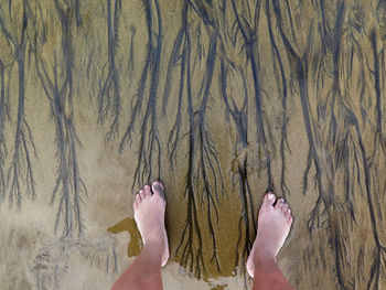 Low section of man standing on beach