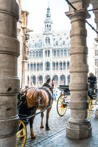 Horse cart in front of grand place