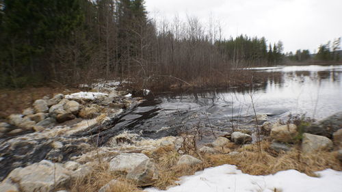 Scenic view of river flowing in forest during winter