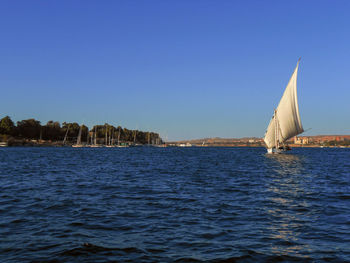 Sailboat sailing on sea against clear blue sky