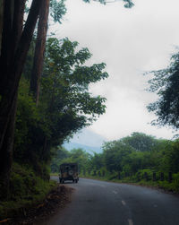 Road amidst trees against sky