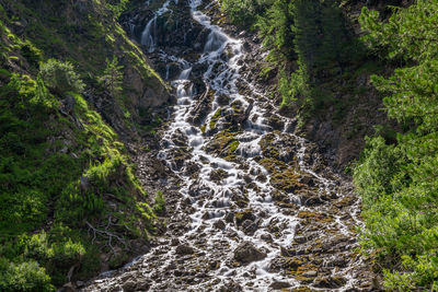 Scenic view of waterfall in forest