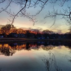 Reflection of trees in lake