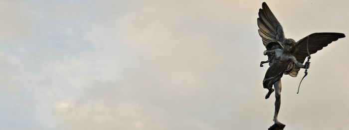 Low angle view of insect flying against sky