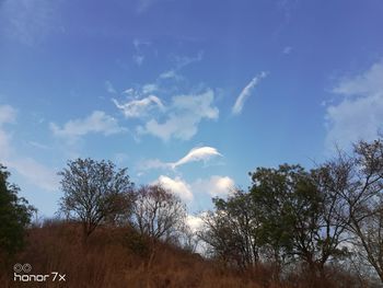 Low angle view of trees on field against sky