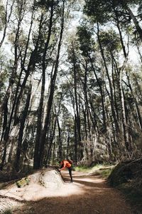 Woman on road amidst trees against sky