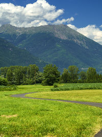 Scenic view of field against sky