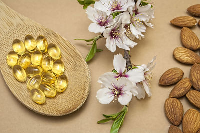 High angle view of flowering plants on table