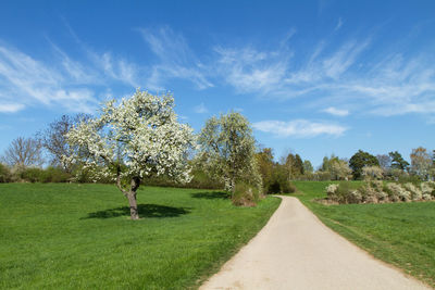 Road amidst trees on field against sky