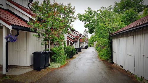 Wet road amidst houses and trees