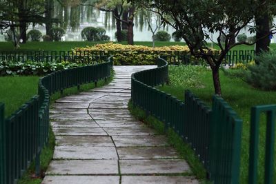 Boardwalk in a park