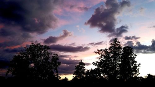 Low angle view of silhouette trees against sky