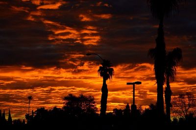 Silhouette of palm trees against cloudy sky