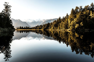 Reflection of trees in lake