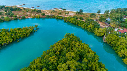 Aerial view of the mangrove swamps , city of dar es salaam