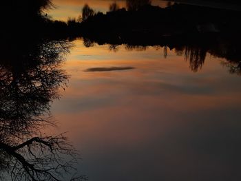 Silhouette trees by lake against sky during sunset