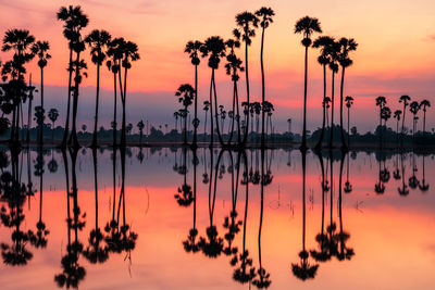 Silhouette palm trees by lake against romantic sky at sunset