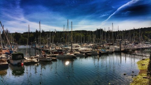 Sailboats moored at harbor