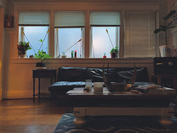 Potted plants on table at home