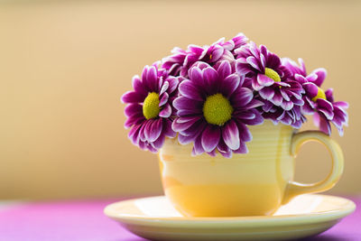 Close-up of purple flowers in vase