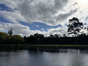 reflection