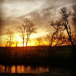 Silhouette of bare trees at sunset