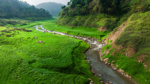 High angle view of landscape