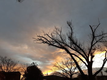 Low angle view of silhouette bare trees against sky at sunset