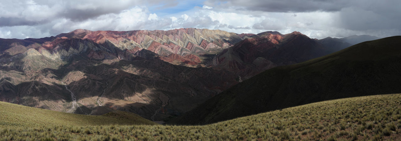 PANORAMIC VIEW OF LANDSCAPE