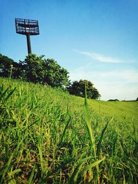 Scenic view of grassy field against cloudy sky