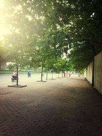People walking on footpath in park