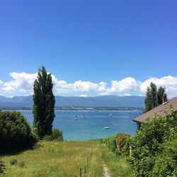 Scenic view of sea against blue sky