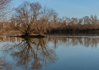 Reflection of trees in lake against sky