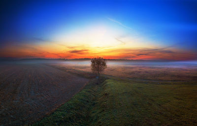 Scenic view of field against sky during sunset