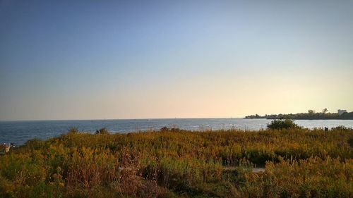 Scenic view of sea against clear sky