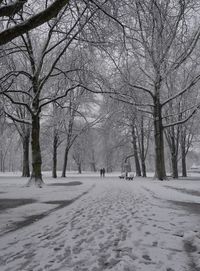 Bare trees on snow covered landscape