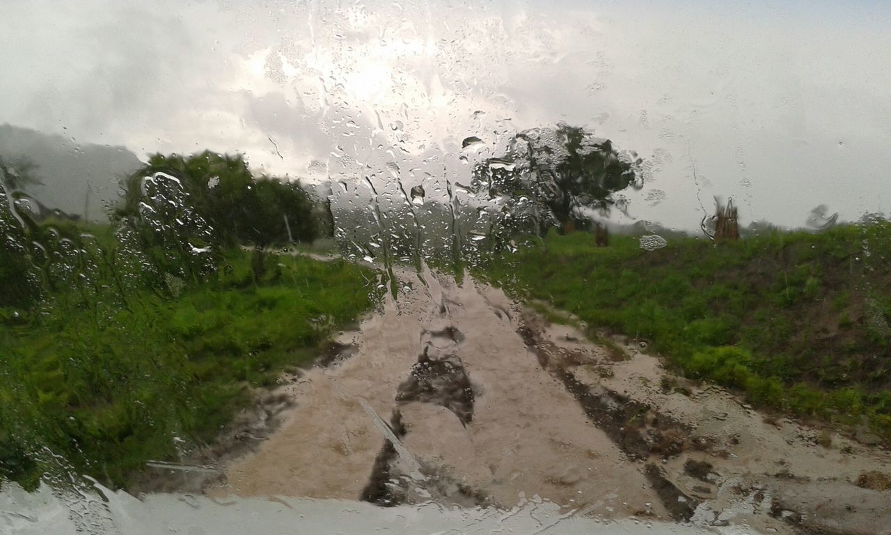 weather, wet, sky, the way forward, rain, nature, grass, water, drop, tree, plant, field, transportation, road, growth, day, tranquility, landscape, season, diminishing perspective