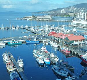 Boats in harbor