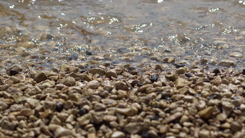 Full frame shot of water