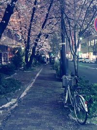 Cars parked on road