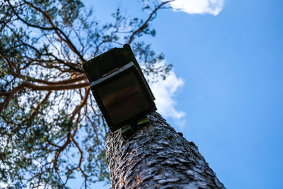 Low angle view of birdhouse on tree against sky