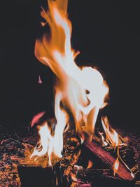 Close-up of bonfire at night