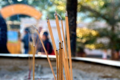 Close-up of incense sticks burning at monastery