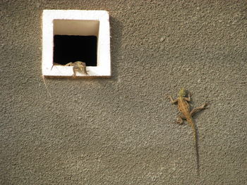 Close-up of a window on wall