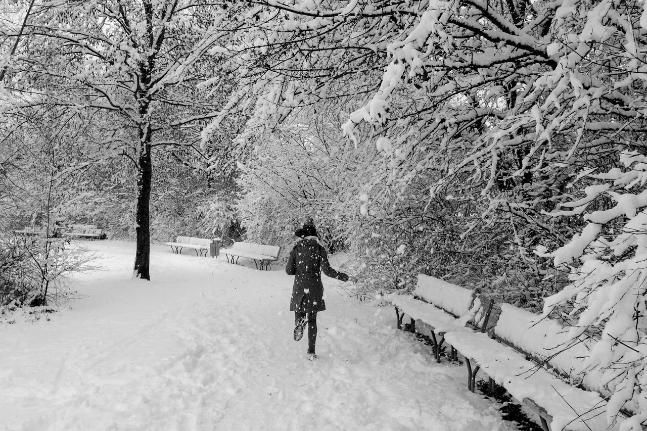 winter, snow, tree, cold temperature, nature, full length, real people, one person, branch, leisure activity, beauty in nature, bare tree, day, outdoors, men, people