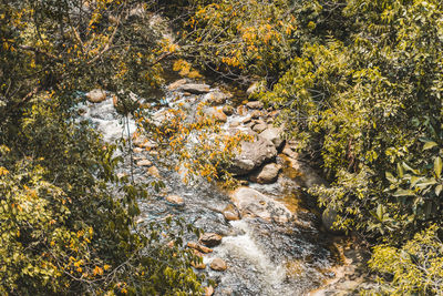 High angle view of stream flowing through rocks