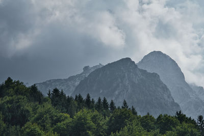 Scenic view of trees and mountains against sky